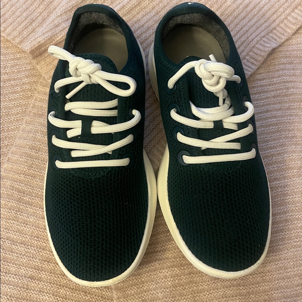 New, never worn allbirds Tree Runners